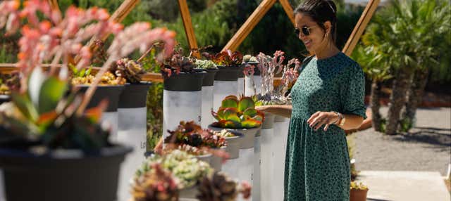 Visita guiada pelo BIBO PARK Ibiza Botánico Biotecnológico
